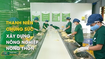 Thanh niên chung sức xây dựng nông nghiệp, nông thôn | Thái Nguyên TV