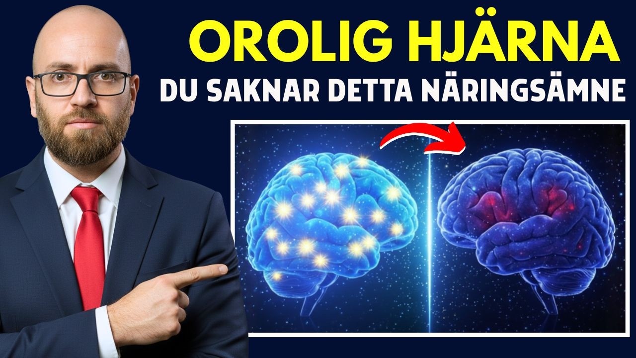 Efter 40: Ökad Oro och Glömska – Saknar Hjärnan Detta Viktiga Näringsämne?