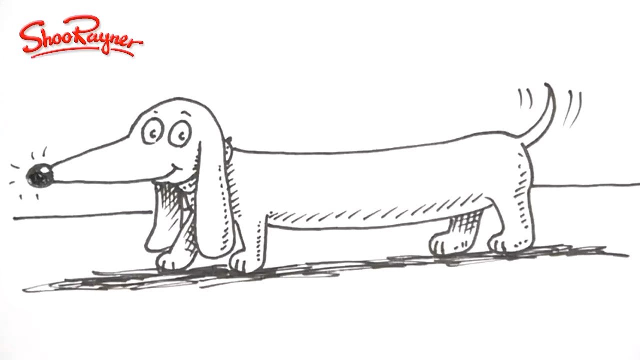 sausage dog drawing