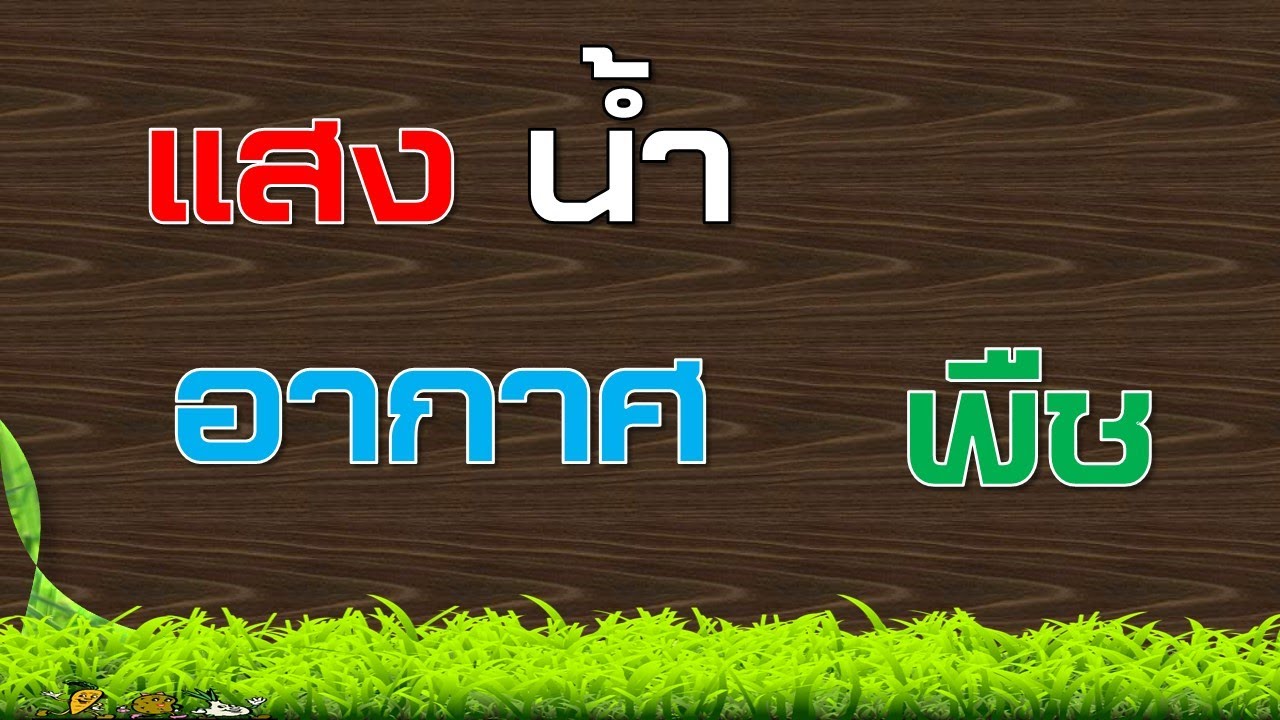 แสง  น้ำ  อากาศ สำคัญกับพืช (รู้ไว้ดีกว่าไม่รู้ครับ)