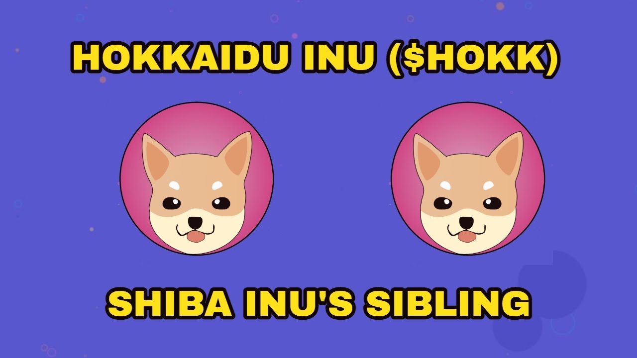 Hokkaido Inu Hokk Shiba Inu S Sibling Youtube Hokkaido Inu Hokk Shiba Inu S Sibling Youtube