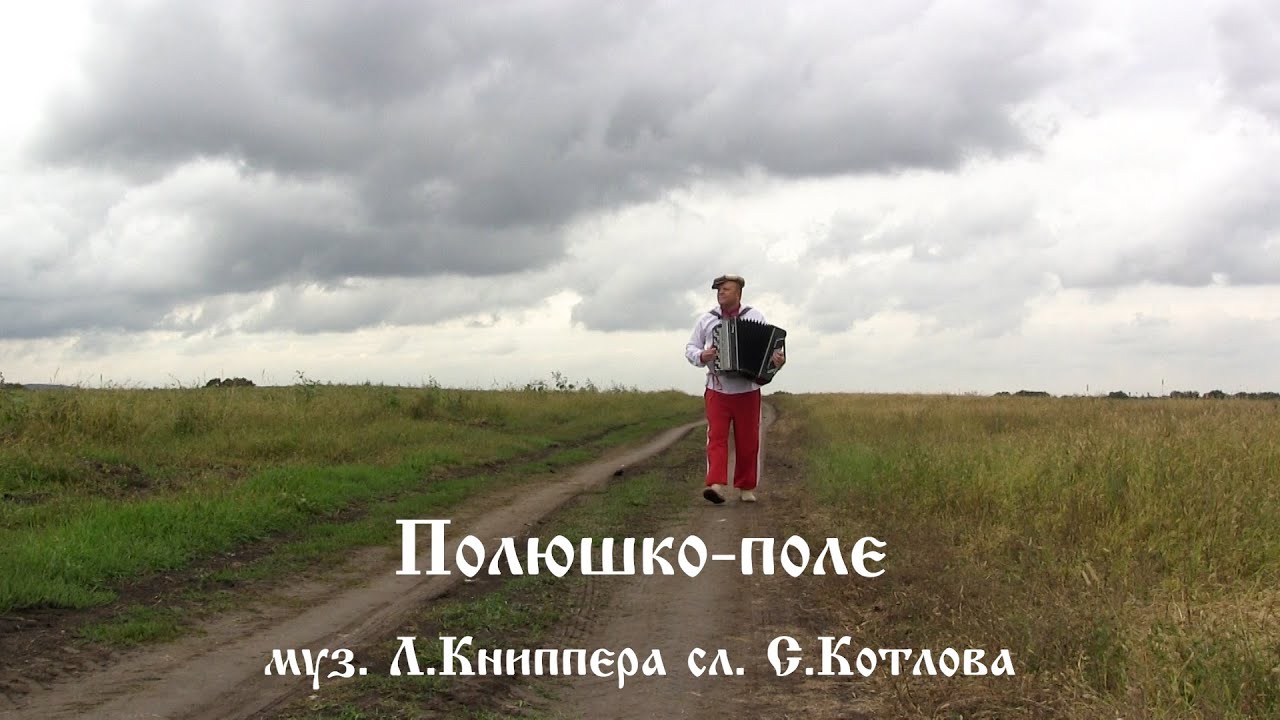 По полюшку приду ремикс. Полюшко поле. Полюшко поле Книппер. Полюшко-поле Лев Книппер. Пикник Полюшко поле.