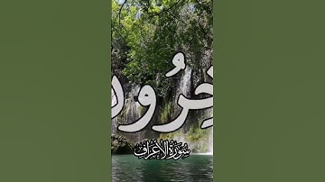 #اكسبلور #ايات #دويتو #تلاوه #القارء #لايك #تلاوات #تيك_توك #قران #duet