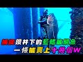 捕捉鑽井下的藍鰭笛鯛魚 一條能賣上十幾個W 真是捕魚愛好者的天堂 荒野大餐 第二季 56 捕捉鑽井下的藍鰭笛鯛魚 一條能賣上十幾個W 真是捕魚愛好者的天堂 荒野大餐 第二季 56