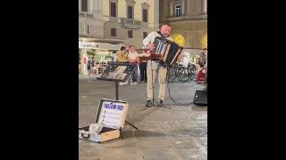 Instrument Sound #harmonika #accordion #Streetmusician
