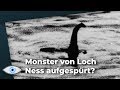 Riesen Monster in Loch Ness aufgespürt! - Clixoom Science & Fiction