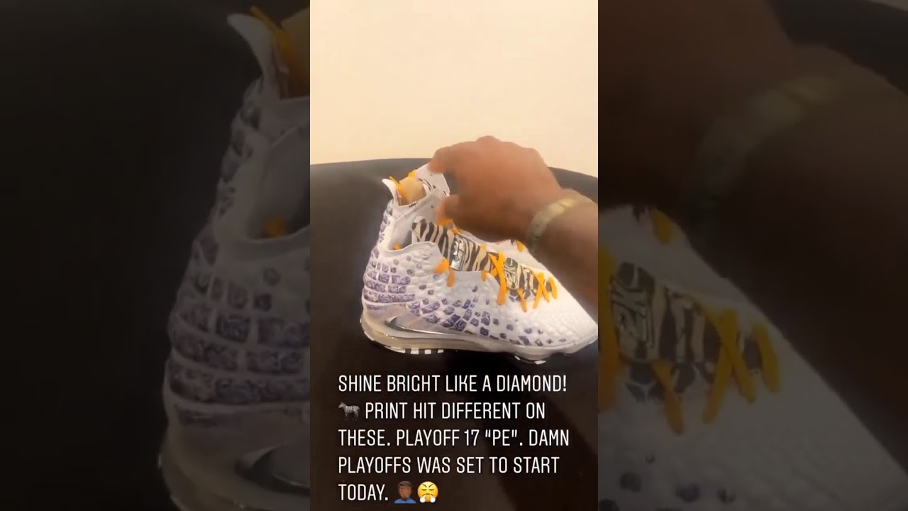 lebron 17 playoff