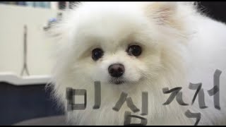 사주 소통반 - 을사년이 언짢다면