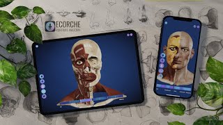 Ecorche: Portrait Anatomy