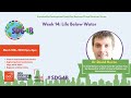 SDG4B Life Below Water- Dr David Horan- 10/03/21
