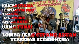 LOMBA IKAN CUPANG ADUAN TERBESAR SEINDONESIA‼️RATU CUP #3 BOGOR ARENA