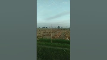 Thumbnail of #song #love #trending #coversong #newsong #music #latamangeshkarsongs