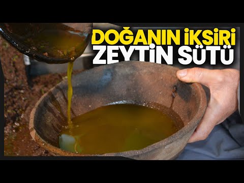 Zeytin Sütü Büyük İlgi Görüyor iha - YouTube