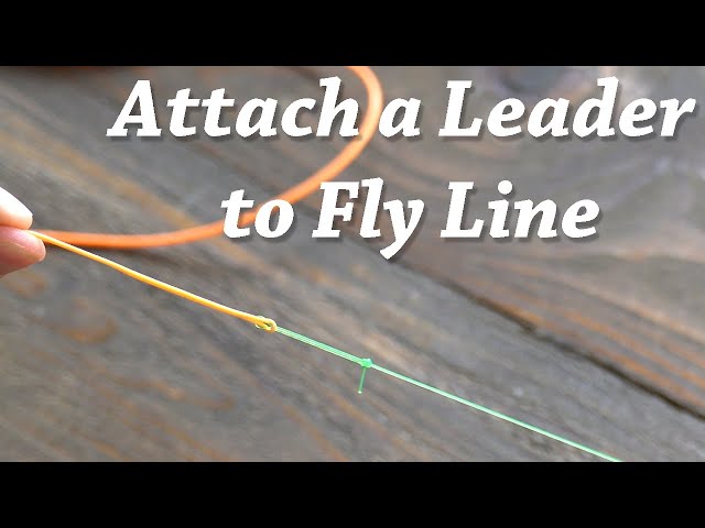 Attaching leader to fly line with a handshake loop to loop - Fly