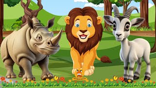 Wild Animal Sounds In Nature: Lion, Goat, Rhinoceros, Lamp,... | Animal Moments