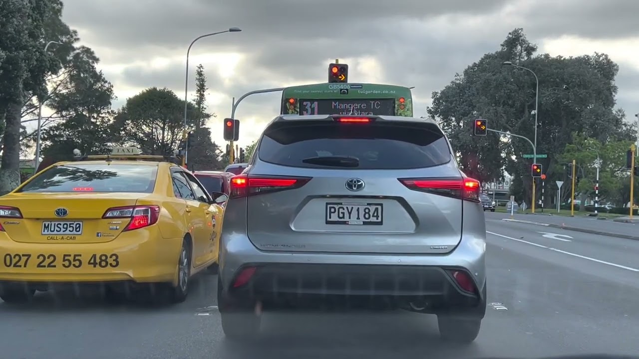 Driving | Flatbush to Auckland City Domain | Museum | Hospital | NZ 🇳🇿