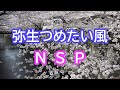 弥生つめたい風 NSP(ニュー・サディスティック・ピンク)カバー 1970年代 昭和の名曲