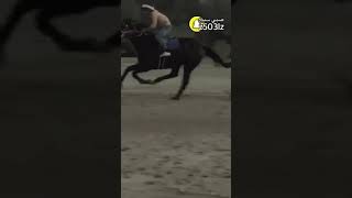 الخيال : عبدالمجيد المداريه السبيعي على الحصان البطل عطيب في وادي سبيع الغلباء بالغريف💁🏻‍♂️🐎