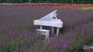 Relaxing Positive Piano Music - Inspiration, Relaxation & Enjoyment
