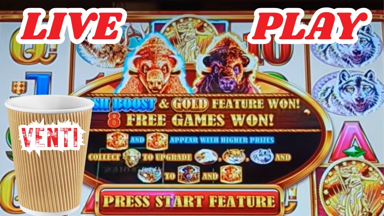 Сбор денежных средств в Буффало: прямая трансляция