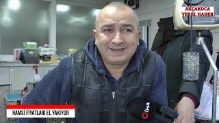 HAMSİ FİYATLARI EL YAKIYOR