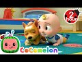 How To Look After Your Pet! | Cocomelon 2 HOUR Compilation | Home Learning for Kids 🖍️