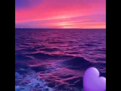 معندي زهر في كل مكان حوست عليك ليالي 