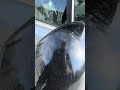 Renault Clio beş ayna tamiri