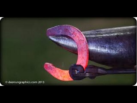 Kenny Knowlton concepts for Shoeing horses- Como Herrar Caballos TvAgro por Juan Gonzalo Angel Kenny Knowlton concepts for Shoeing horses- Como Herrar Caballos TvAgro por Juan Gonzalo Angel #1