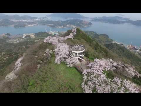 愛媛県 岩城島積善山 三千本桜《ドローン空撮》D.K.AIR