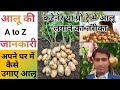 कंटेनर या प्रो ट्रे मे आलू लगाने का सही तरीका #facts #tranding #farming #gardening #audiobook