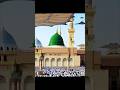 Beautiful naat shareef #islamicvideo #islamiccontent #naatshareef #ytshorts #jaidmeel #shorts