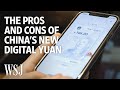 Why China's New Digital Currency Raises Privacy Concerns | WSJ