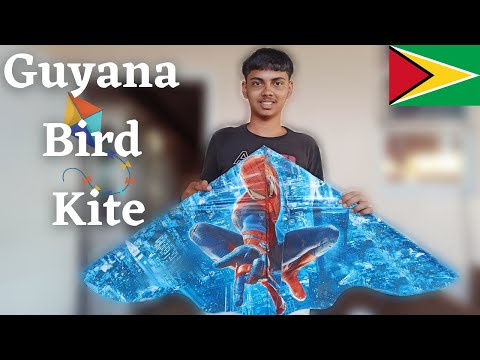 Guyana Bird/Delta Kite.                             {Email Marketing, Insurance, Website Hosting}