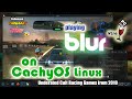 Play BLUR 2010 on CachyOS and Garuda Linux