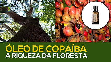 Pode tomar óleo de copaíba doTERRA?