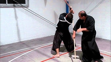 Ogawa Ryu - Private Class - Shidoshi Jordan & Juliana Galende 2014