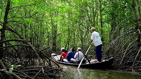 homestay Cà Mau Du lịch sinh thái cộng đồng Đất Mũi