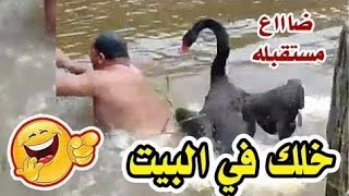 حظر_التجوال مضحك حظر التجوال في تركيا فيروس_كورونا مضحك حظر التجوال في امبابه ضياء المصري