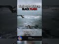 Black Myth Wukong Black Flash #blackmyth #blackmythwukonggameplay #anime #gamingchannel #jjk