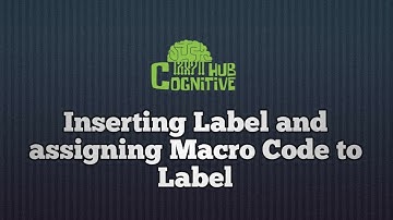 Inserting Label and assigning a Macro to it in VBA l VBA l Excel Programming l Excel Macros
