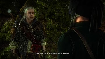 The Witcher 2 In The Claws Of Madness [Surrender Rupert and Gridley to the ghost]