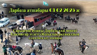картинка: 03 02 2025ж кокпар Сарыағаш  Дарбаза Едиловтар әулеті Әбдіхалық ақсақалдың елден бата алу көкпары