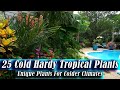 Cold hardy tropical plants  unique plants for cold climates