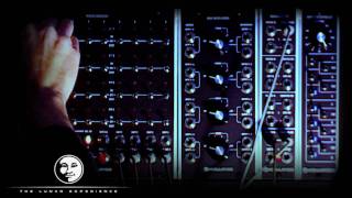 moonmodular new Quad Quantizer M565v2 with the new M565e Expander