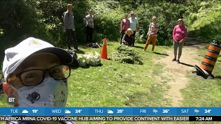 Protecting ravines and wild spaces in Toronto