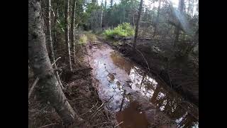 Back Settlement Road falls