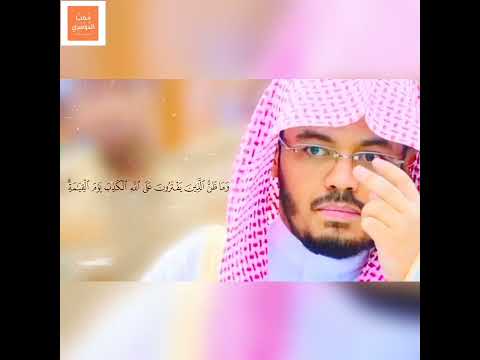 انسي هموم الدنيا تلاوة تريح القلب إن الله لذو فضل علي الناس ولكن أكثرهم لا يشكرون ياسر الدوسري