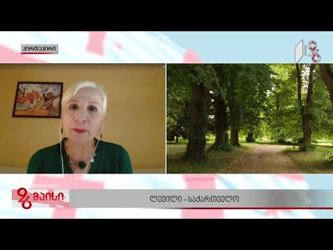 ლევილი - საქართველო - ჟურნალისტი და მკვლევარი ლეილა კვირიკაშვილი #ახალდღეში