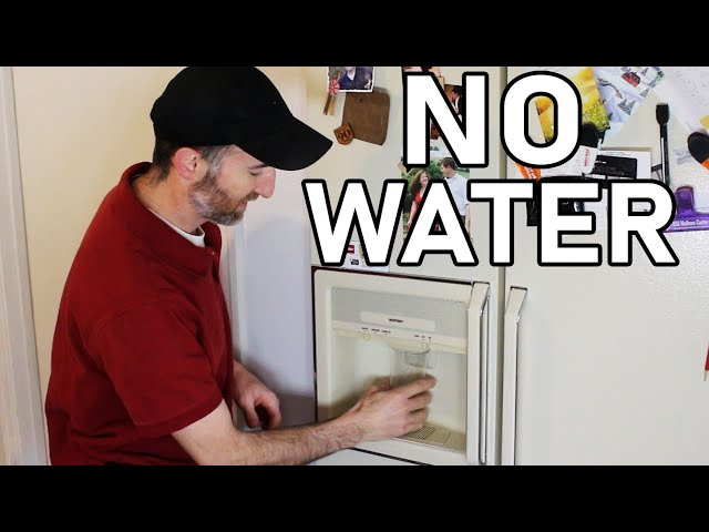 Refrigerator Not Dispensing Water Through Door - Simple Fix 